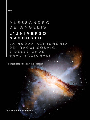 cover image of L'universo nascosto